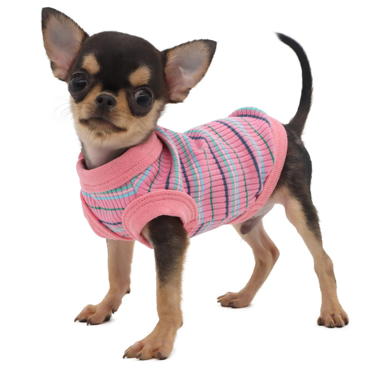 Pink ribbed dog shirt vest for small dogs, Chihuahua and puppy tank tee by I YAN, featuring comfortable, stylish pet clothing.