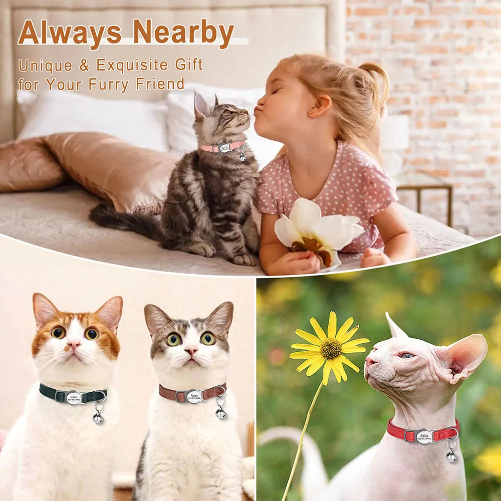 Cute Breakaway Personalized Kitten Cat Collar & Bell Safety Buckle Quick Release Custom Engraved Name ID Tag