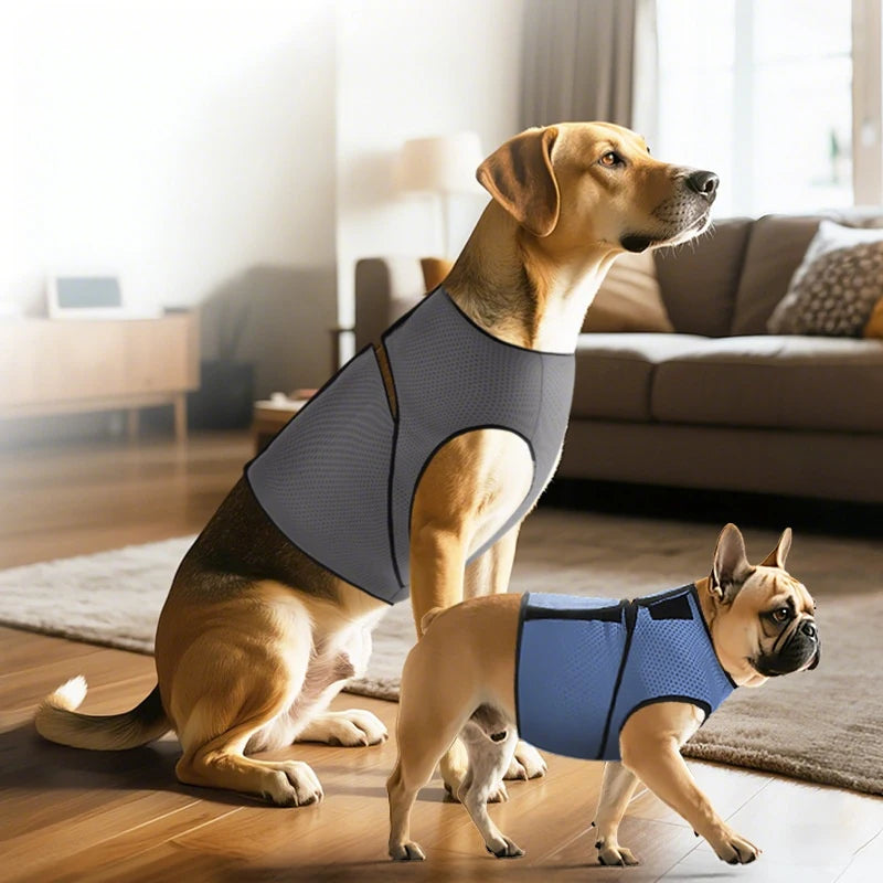 Mesh dog calming vest by I YAN, skin-friendly anxiety relief coat designed for thunderstorms and summer, with chest harness.