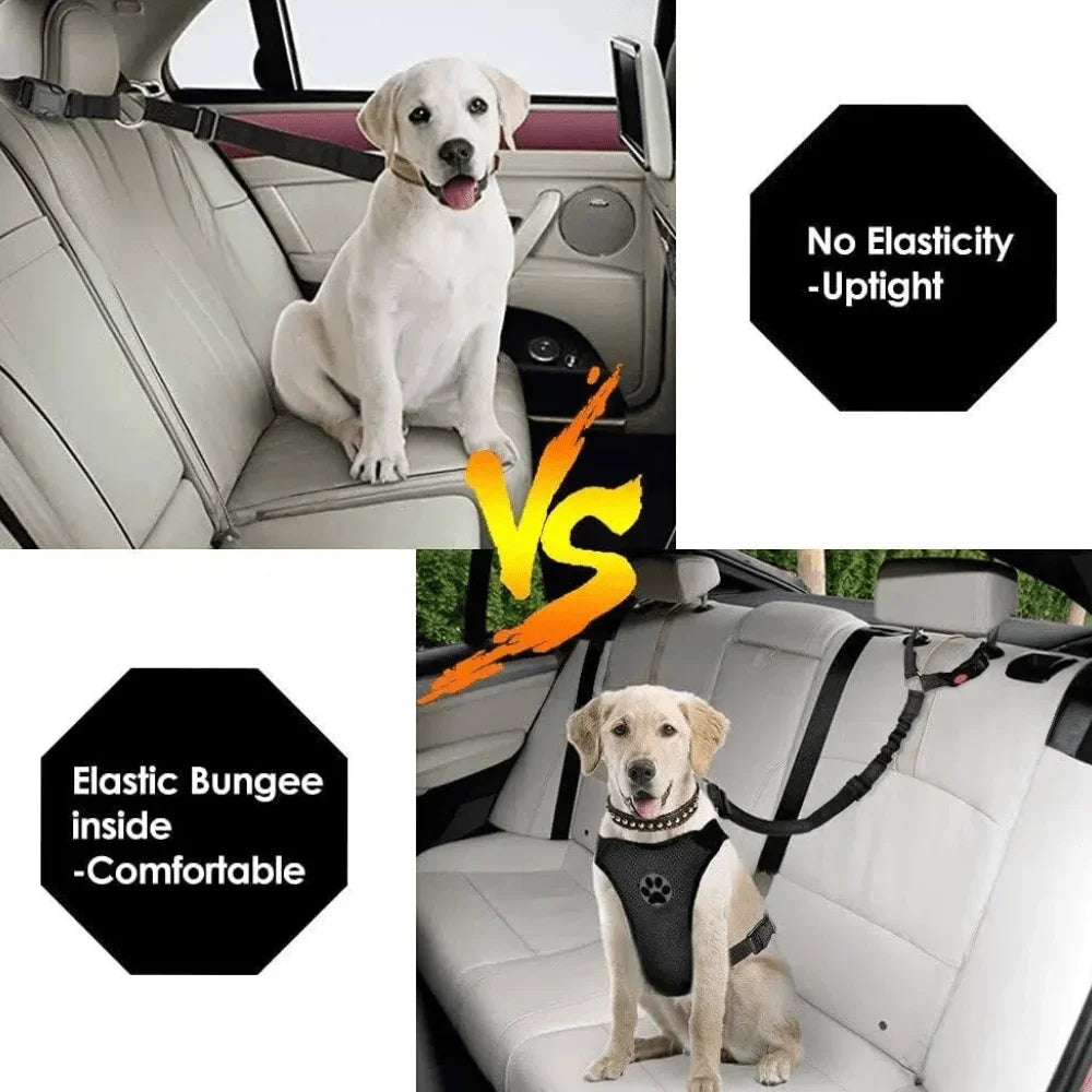 Two-pack I YAN pet car travel kit featuring a waterproof dog seat cover and adjustable leash on a vehicle seat.
