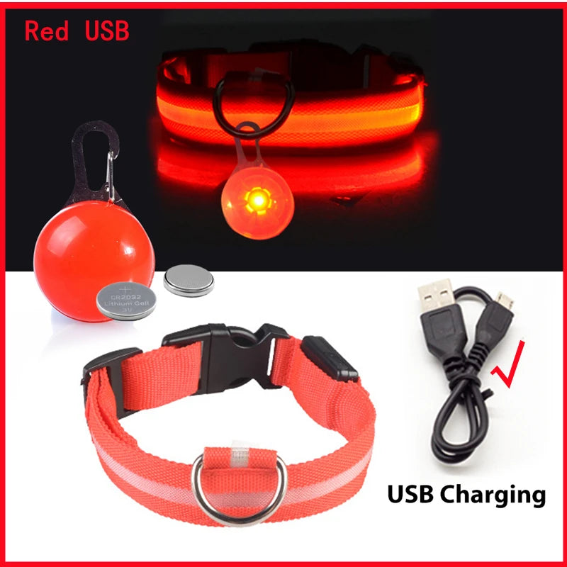 USB rechargeable LED glowing dog collar by I YAN, illuminated safety light for small dogs and cats in nighttime visibility.