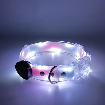 Rechargeable LED dog collar and leash set by I YAN with glow-in-the-dark safety features, shown in the image.
