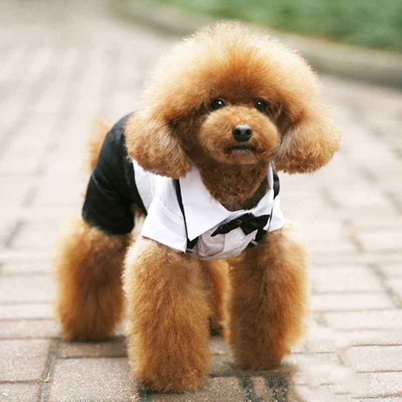 Pet Clothes Dog Shirt Dog Tuxedo Bow Tie Shirt for Boy Dog Wedding Party Bulldog Pug Puppy Costume Pet Teddy Summer Thin Outfits