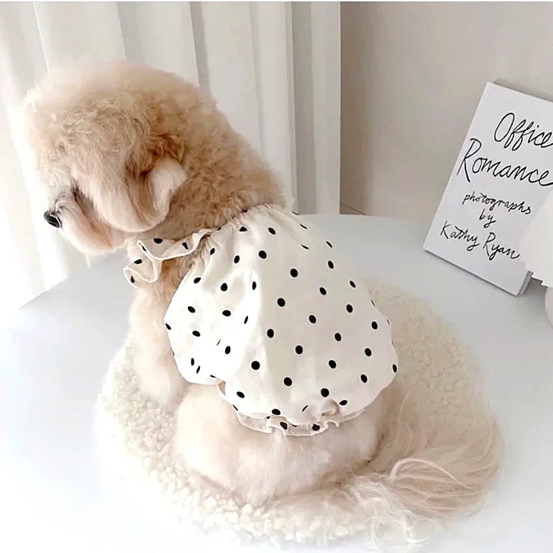 Cute Polka Dot Dog Dress – Summer Skirt for Small Dogs & Cats