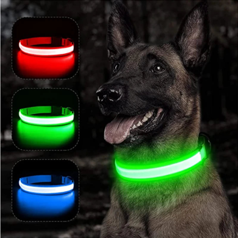USB rechargeable LED glowing dog collar from I YAN, featuring bright safety light for small dogs and cats at night.