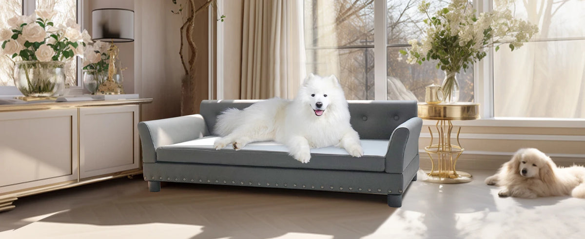 Durable rectangle dog bed by I YAN with elevated design, soft cushion, and modern style suitable for medium and large dogs.
