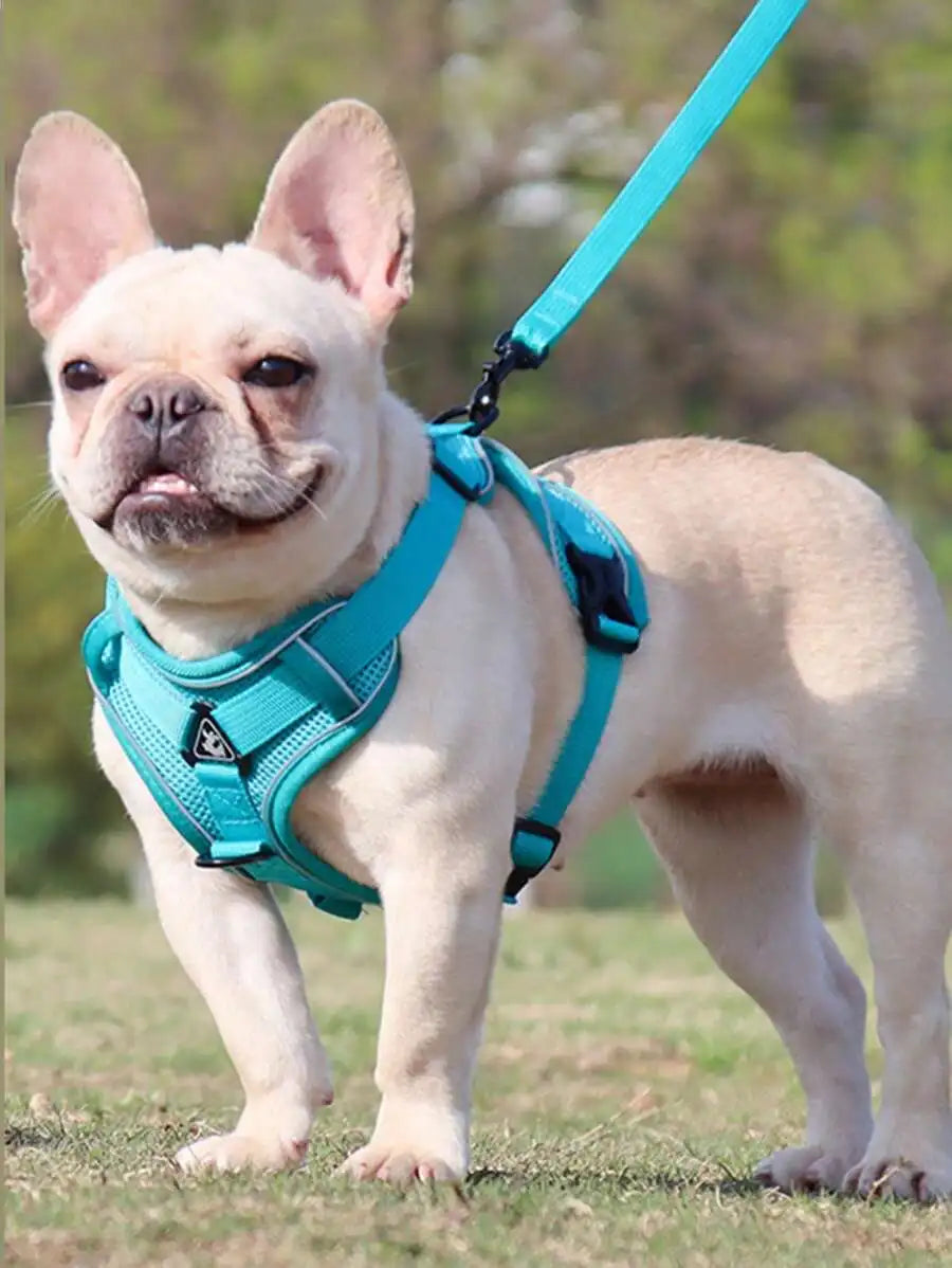Reflective pet harness and leash set for dogs and cats, adjustable, escape-proof, soft mesh chest strap, I YAN brand.