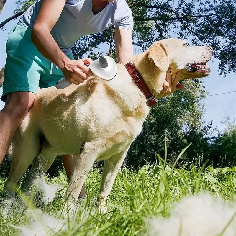 I YAN self-cleaning pet brush for dogs and cats, grooming comb with dematting tool and shedding remover for puppies and kittens.