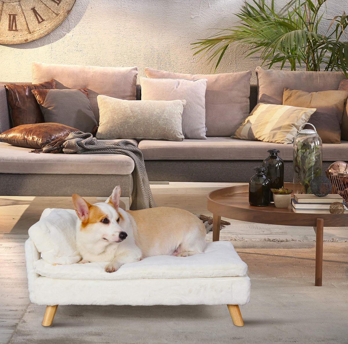 Elevated Nordic pet stool bed with cozy pad, waterproof surface, sturdy wood legs, ideal for small dogs and kittens.