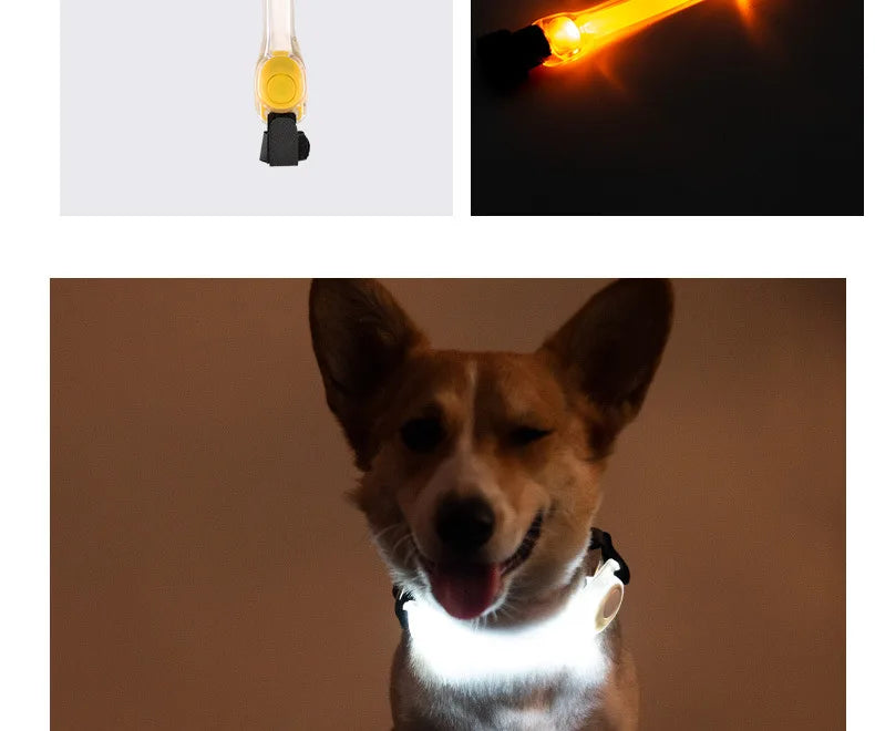 Water resistant dog safety collar by I YAN with colorful pendants and LED light strip for outdoor night visibility.