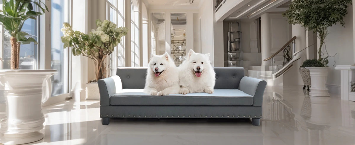 Durable rectangle pet bed for medium and large dogs by I YAN, elevated modern dog sofa with comfortable cushion and sturdy frame