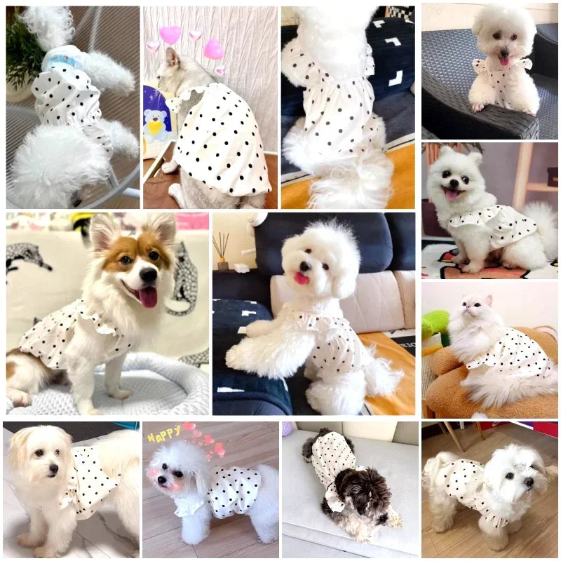 Cute Polka Dot Dog Dress – Summer Skirt for Small Dogs & Cats