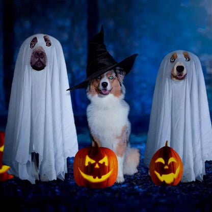 Halloween Ghost Dog Costume – Spooky Pet Cloak for Dogs