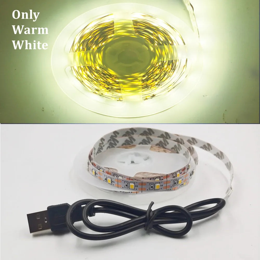 5M USB LED Strip Light 5V 3528 1 Meter 5 Meter Warm Cool White Pink Green Blue Red SMD Ribbon Ceiling Cabinet Light waterproof