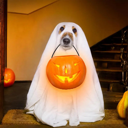 Halloween Ghost Dog Costume – Spooky Pet Cloak for Dogs