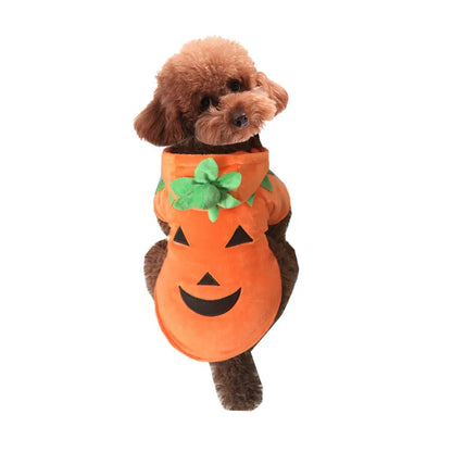 Pet Clothing, Pumpkin, Funny Clothing,  Cute Halloween Clothing, Dog Clothing