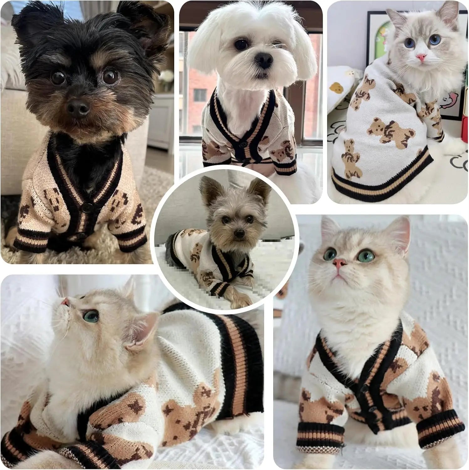 Small Dog Sweater Cute Bear Cardigan for Small Medium Dogs Boy Girl Puppy Cat Knit Autumn Coat Warm Soft Pet Apparel