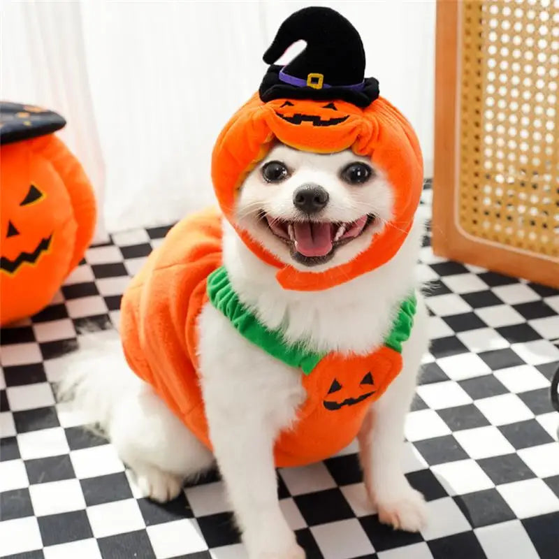 Halloween Dog Costume Pumpkin Light Clothing Teddy Bichon Small Dog Transformation Suit Pet Apparel Functional Winter Wear