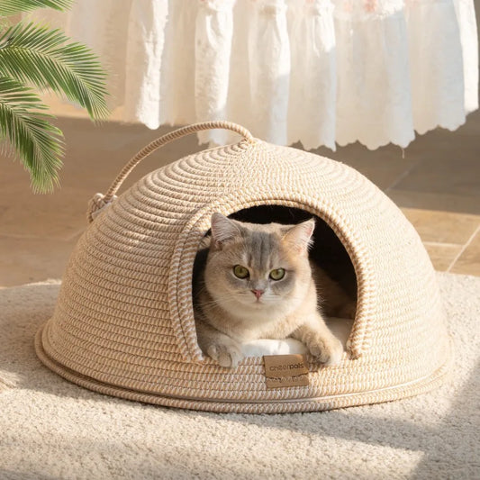 I YAN cat cave bed with cushion, 21x21 inch indoor tent with toy ball for large cats, all-season cozy shelter and play space