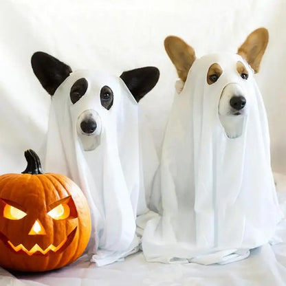 Halloween Ghost Dog Costume – Spooky Pet Cloak for Dogs