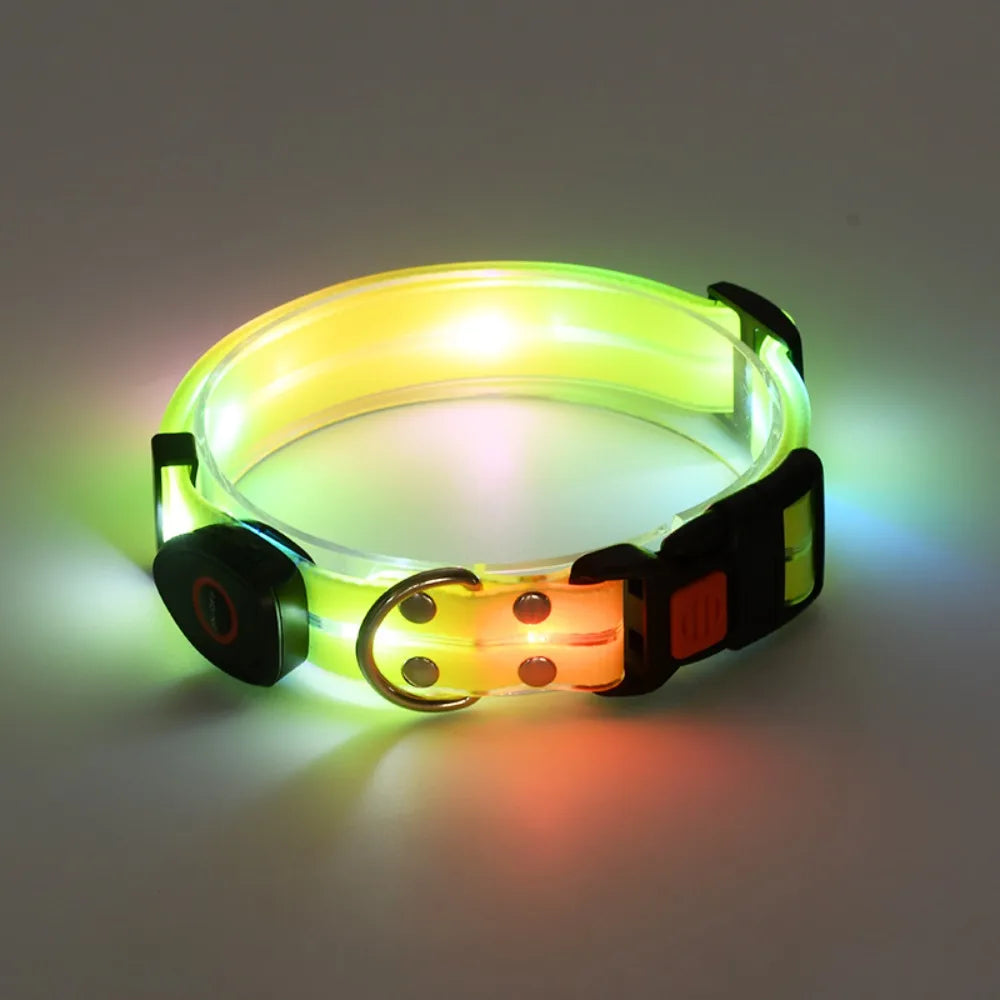 Rechargeable LED dog collar and leash set by I YAN with glow-in-the-dark safety features, visible in the image.