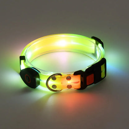 Rechargeable LED dog collar and leash set by I YAN with glow-in-the-dark safety features, visible in the image.