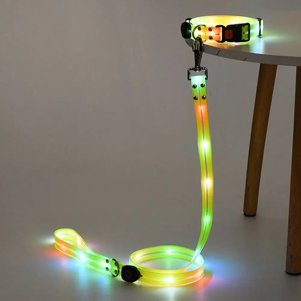 Rechargeable LED dog collar and leash set by I YAN with glow-in-the-dark safety features, shown in black with illuminated accents.
