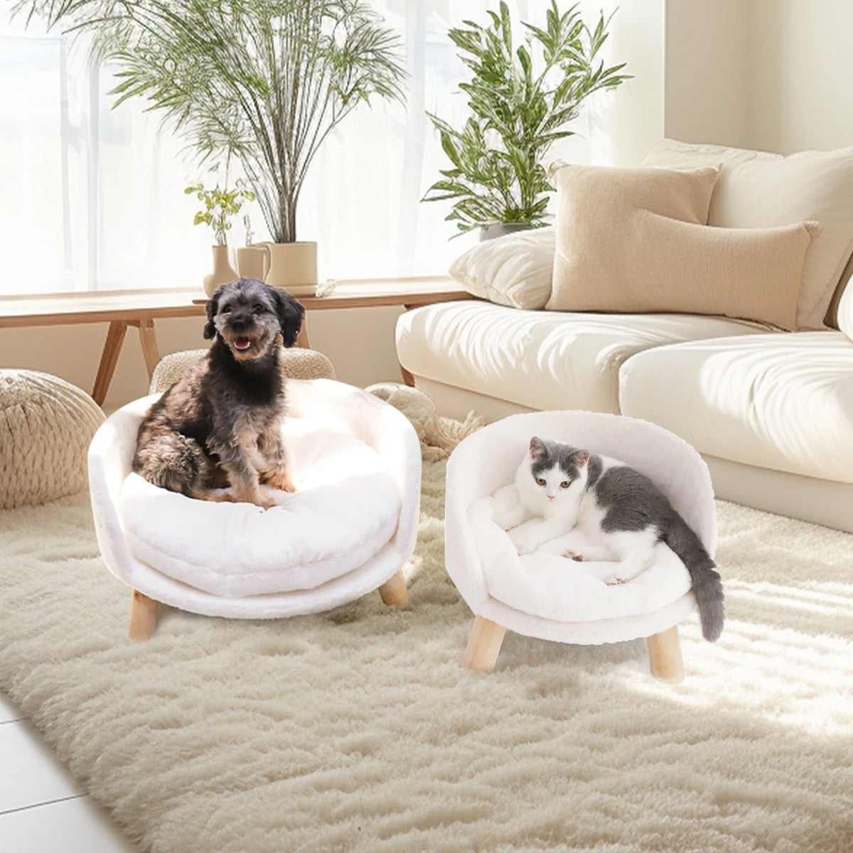 Small pet sofa bed by I YAN featuring a raised cat chair design with a removable cushion and cozy sleep house for cats and small dogs.