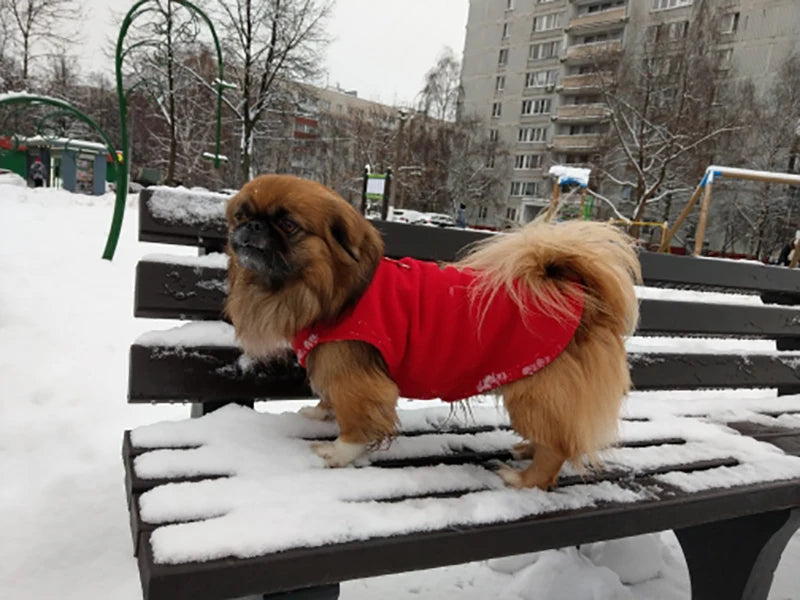Warm fleece dog jacket vest with D-ring for small dogs and cats, suitable for French Bulldogs and Chihuahuas by I YAN.