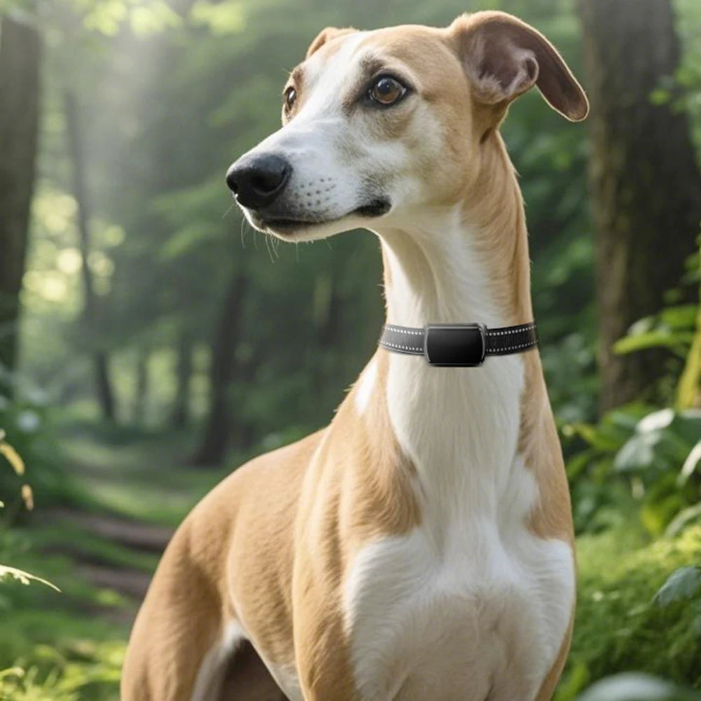 Pet GPS Tracker with Adjustable Collar Smart Pet Locator Cat Tracker for Cats and Dogs