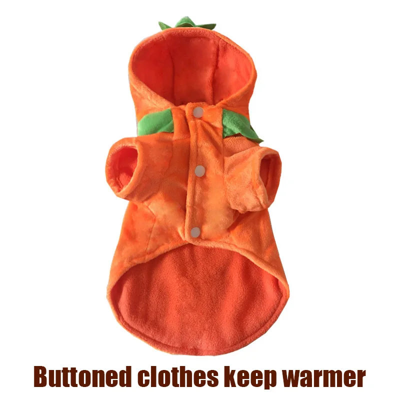 Pet Clothing, Pumpkin, Funny Clothing,  Cute Halloween Clothing, Dog Clothing