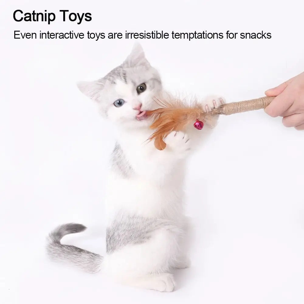 Cat  Silvervine Cat Nip Chew  Chew  Cat Wall  Silvervine Sticks Catnip  Wellness Cat Food Cat Chew Sticks