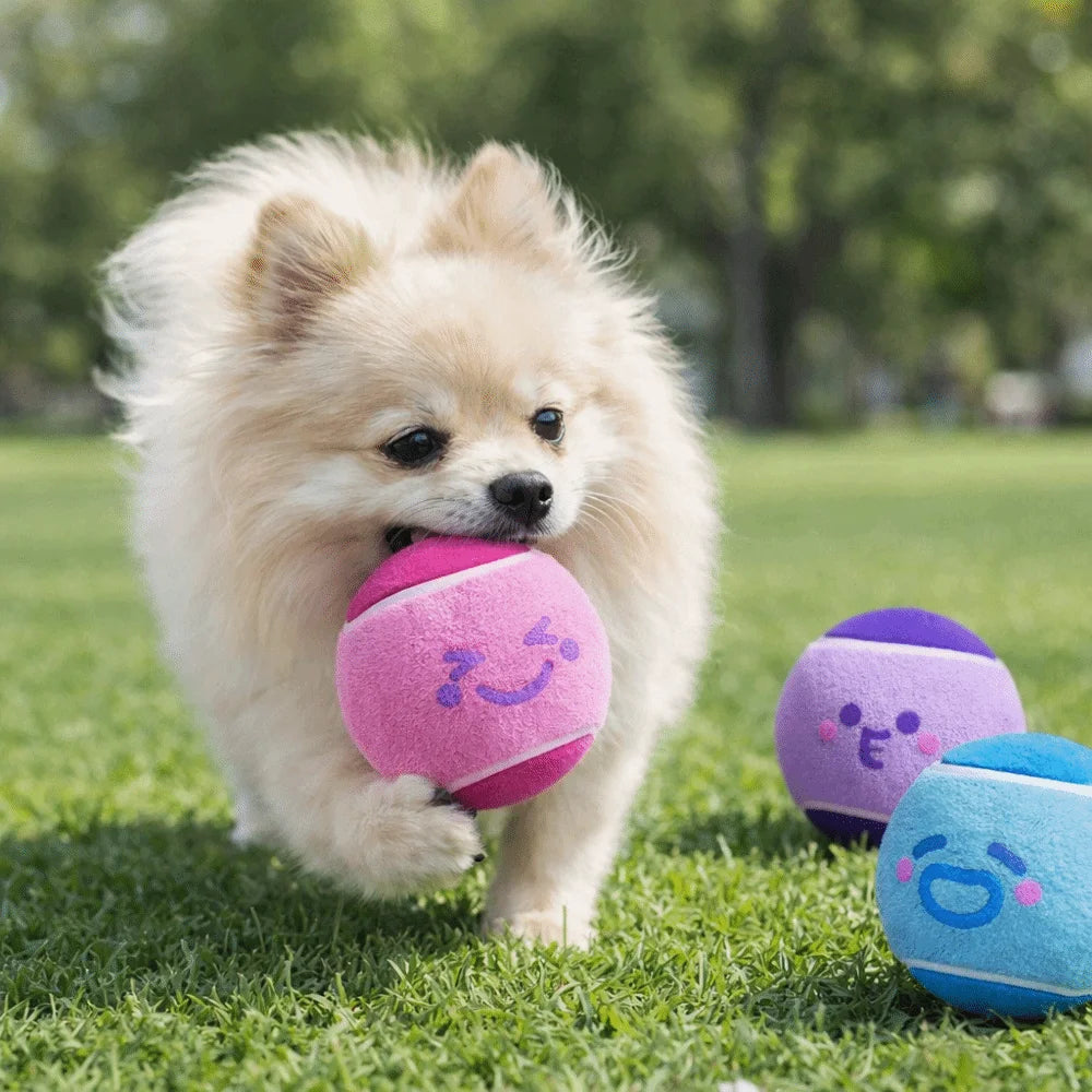 3 pieces Elastic Pet Tennis Ball Eco Friendly Color Blocked Dog Chew Toy Squeaky Sound Cartoon Pattern Pet Bouncy Ball Training