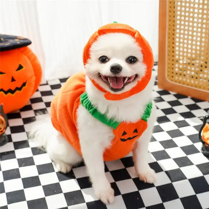 Halloween Dog Costume Pumpkin Light Clothing Teddy Bichon Small Dog Transformation Suit Pet Apparel Functional Winter Wear