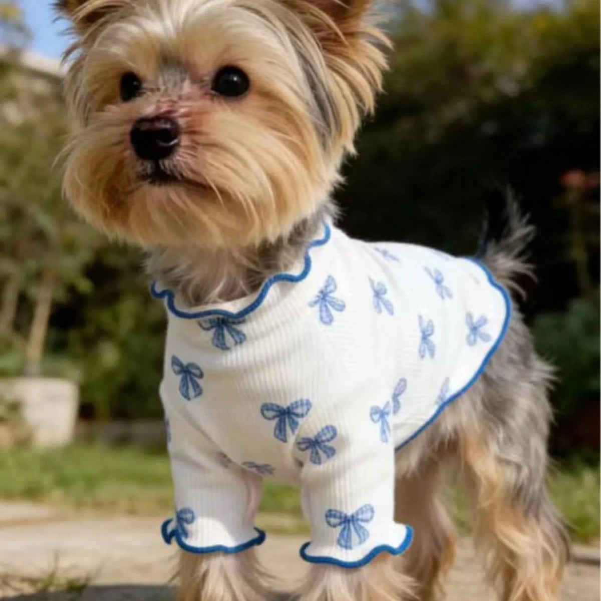 Cute knit pet sweater for dogs and cats with allover print and pink bow tie, breathable and comfortable from I YAN