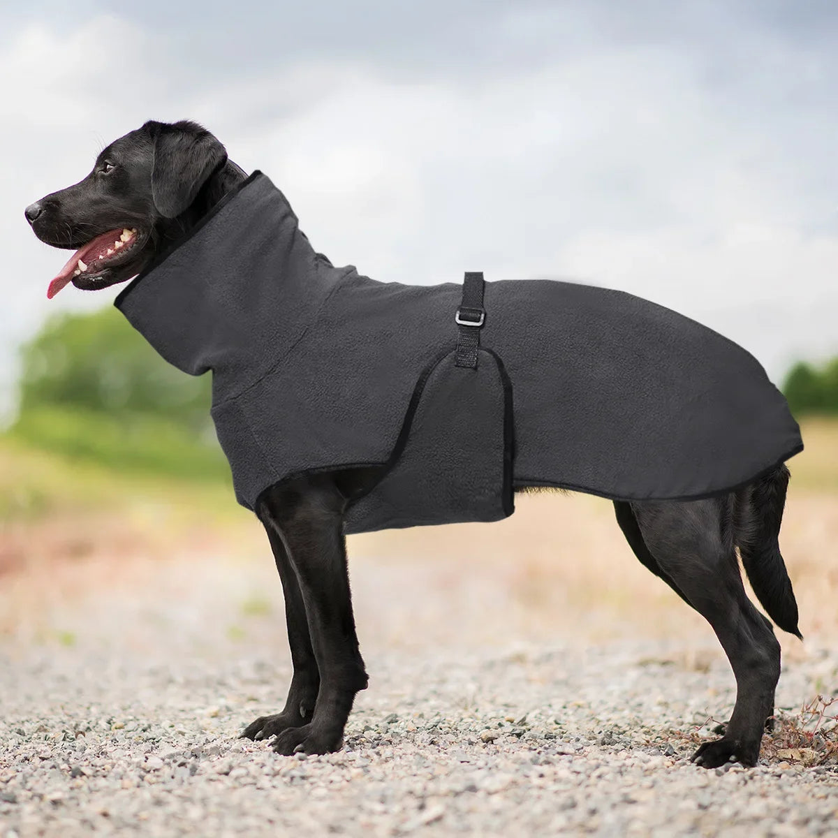 Winter Warm Dog Vest Jacket – Coat for Medium & Large Dogs