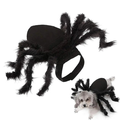 Halloween Spider Costume for Dogs & Cats – Spooky Pet Outfit
