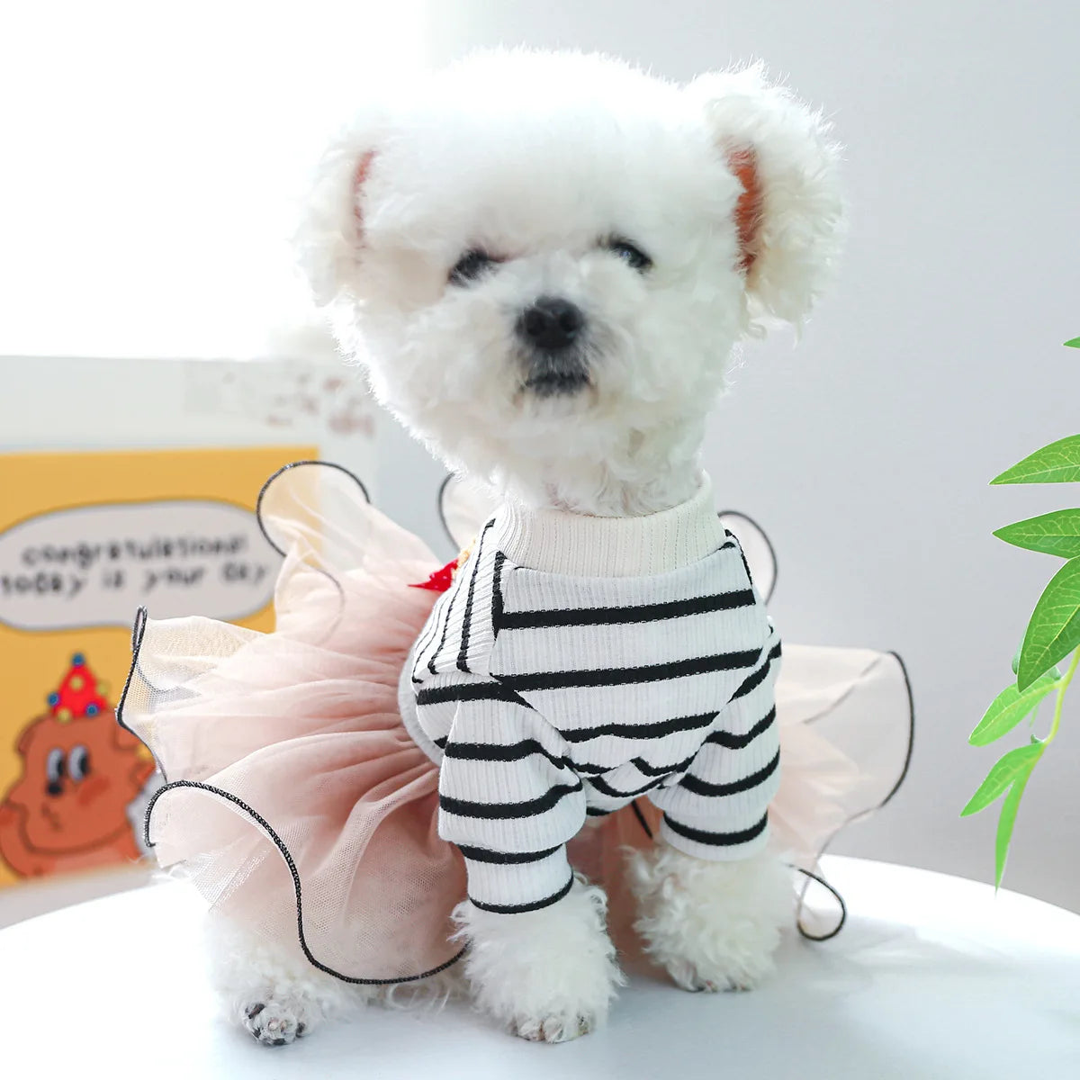 Winter Pricess Dresses for Small Dog Girl Stripe Sweater Tutu Skirt Bear Bowknot Pet Costume Cat Apparel Fancy Dog Party Outfit