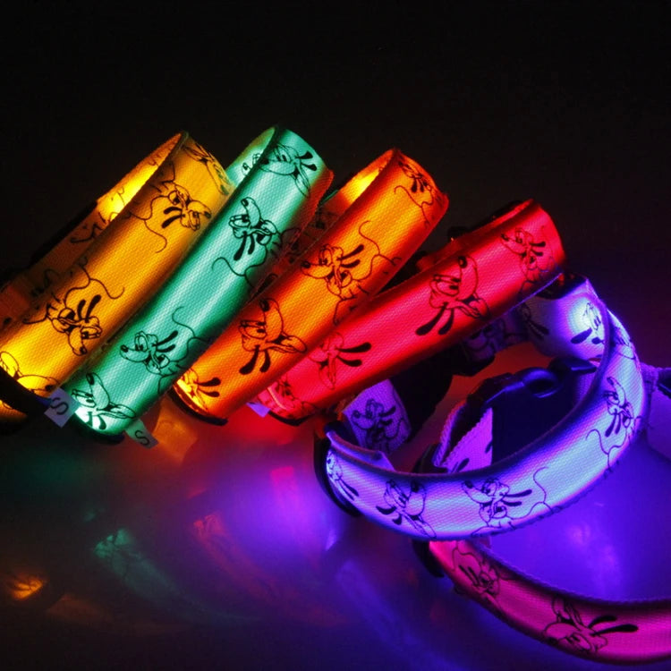 Bright LED dog collar from I YAN, glowing luminous nylon pet collar designed for night safety and visibility.