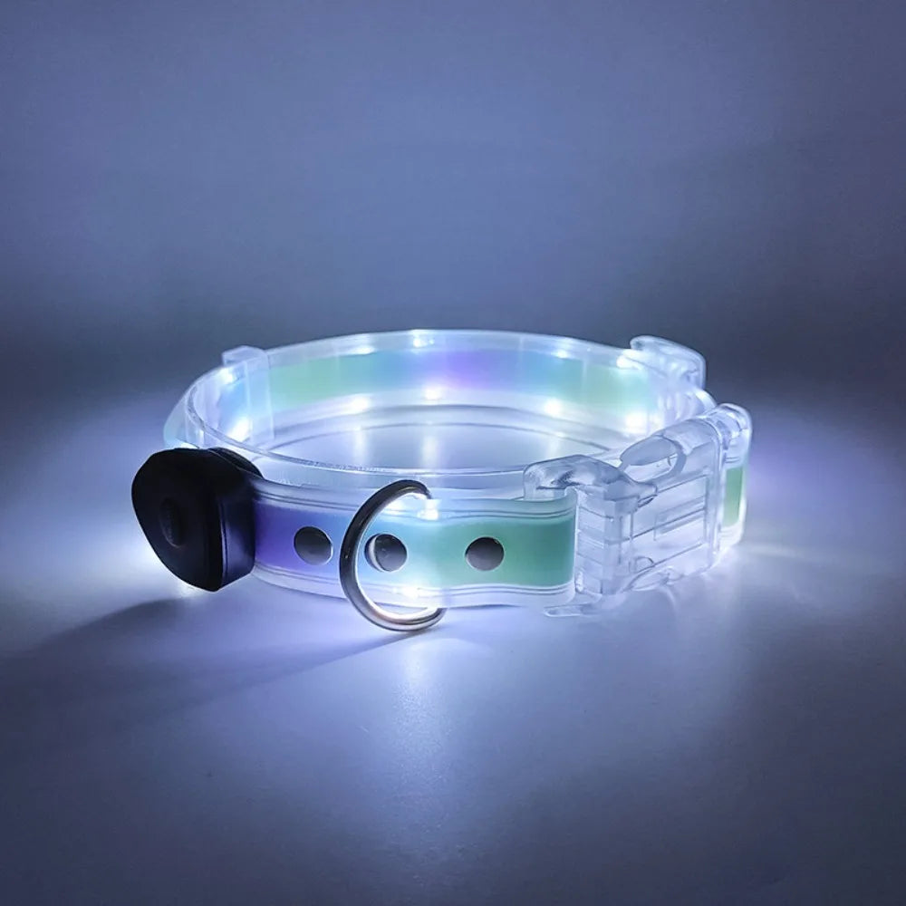 Rechargeable LED dog collar and leash set by I YAN with glow-in-the-dark safety feature, shown with illuminated collar and leash in use.