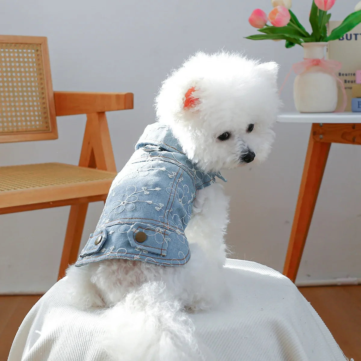 Blue denim sleeveless dog jacket with I YAN branding, suitable for small to medium dogs and puppies in autumn and spring wear.