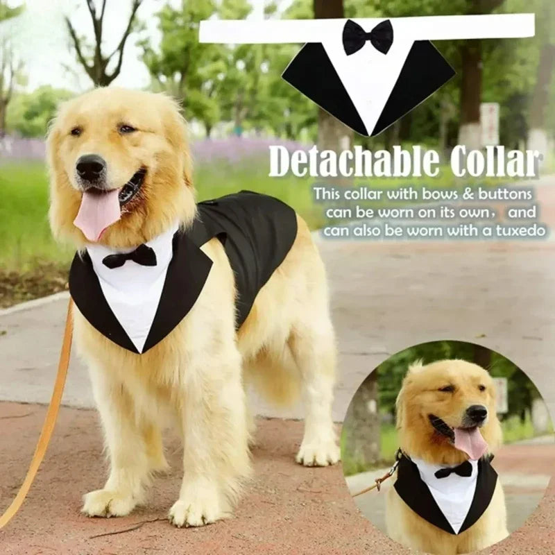 Cotton Large Dog Costume Detachable Two Pieces Dog Wedding Costume Black Dog Clothes Suit Dress Autumn Large Breeds Pet Products