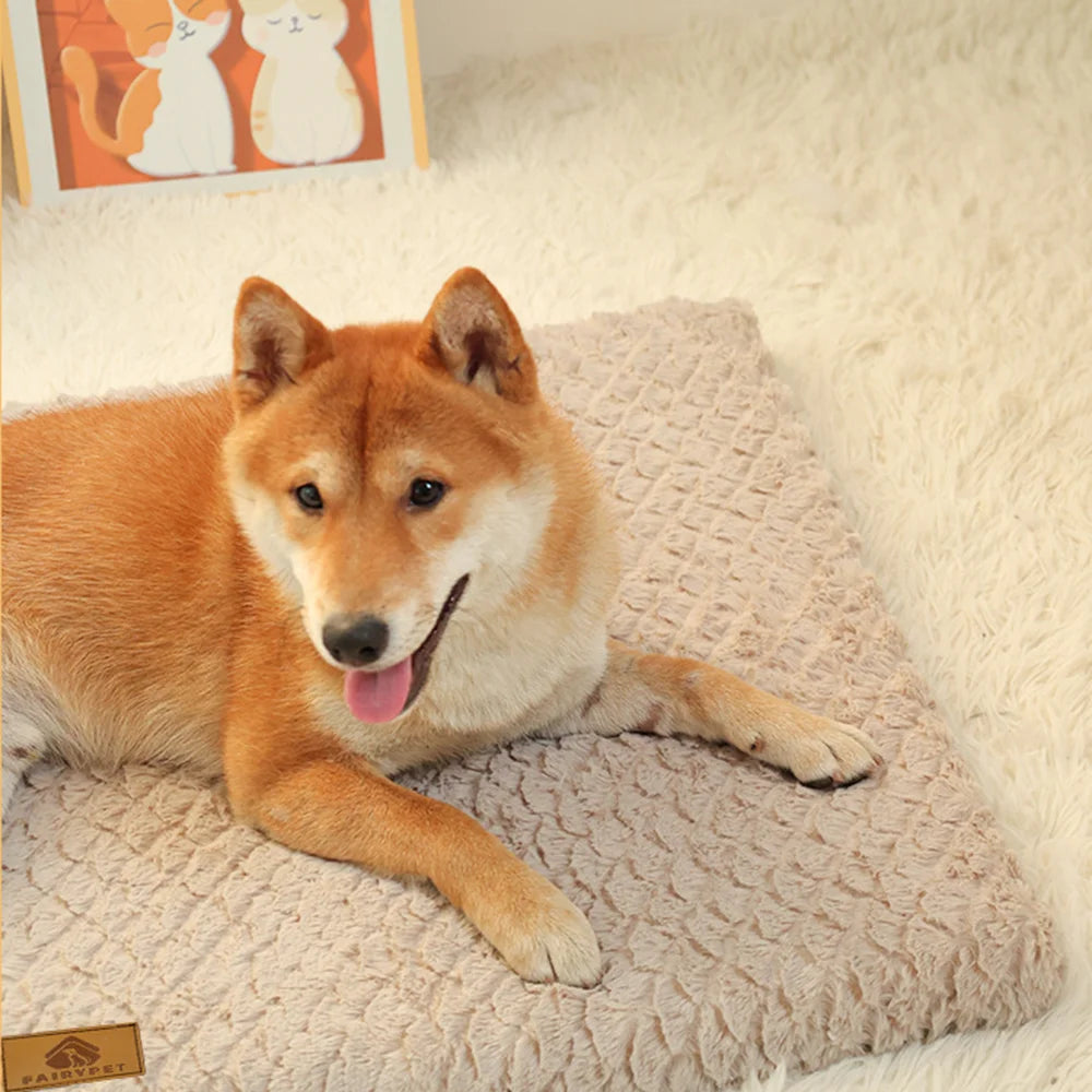 3D foam orthopedic dog bed by I YAN with washable faux fur cover, waterproof, anti-slip bottom in M to XXL sizes.