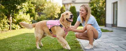 Pink I YAN dog cooling vest harness with four ice packs, designed for large dogs, providing over 180 minutes of cooling comfort.