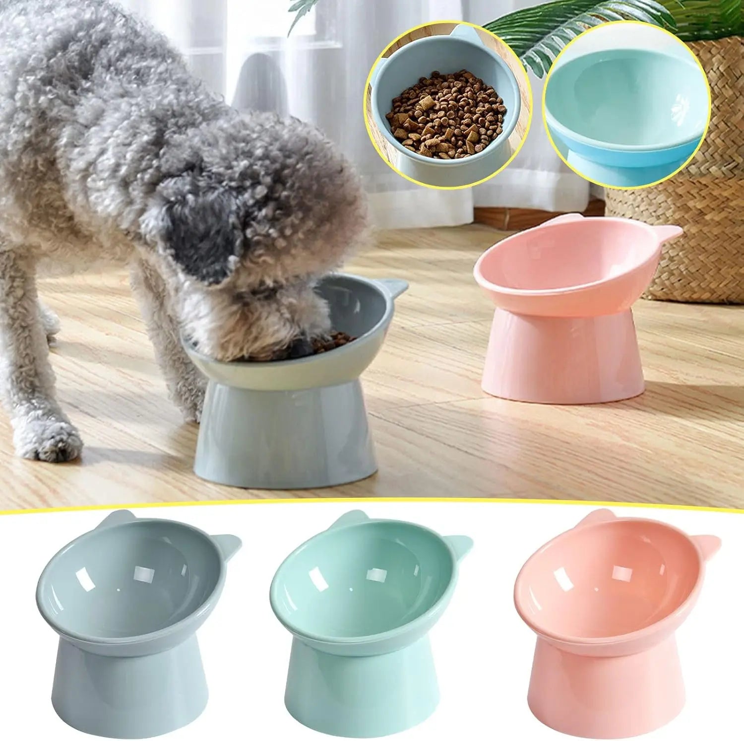 Tilted Whisker-Friendly Cat Bowl – Anti-Vomit, Shallow & Cute (Green)