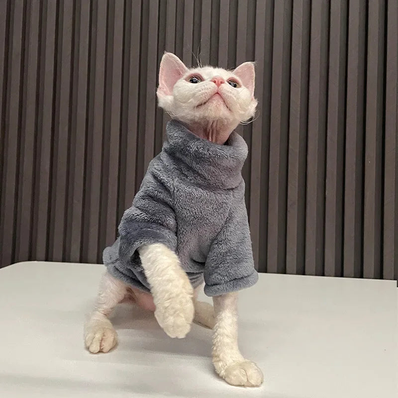 Sphynx cat wearing a stylish sweater from I YAN, showcasing cozy kitten clothing and pet jumpsuits for cats and small dogs.