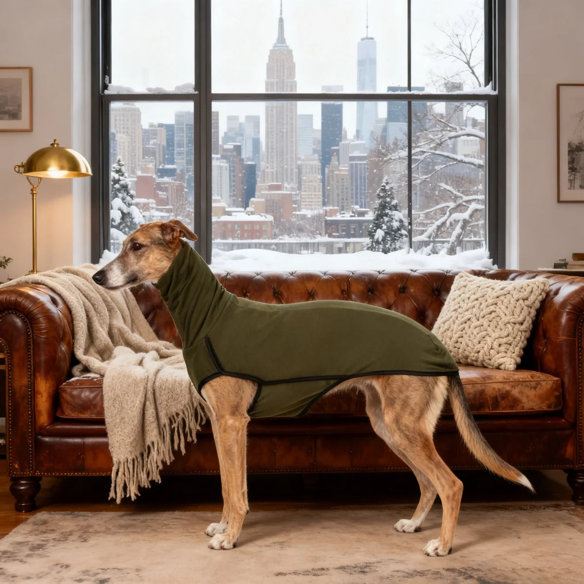 Grayhound dog winter coat pajamas with turtleneck, stretch fabric, suitable for medium and large pets, by I YAN.