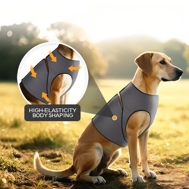 Dog Calming Vest Mesh Anxiety Relief Coat for Thunderstorms Summer Chest Harness Skin-Friendly Dog Calming Shirt Pet Supplies