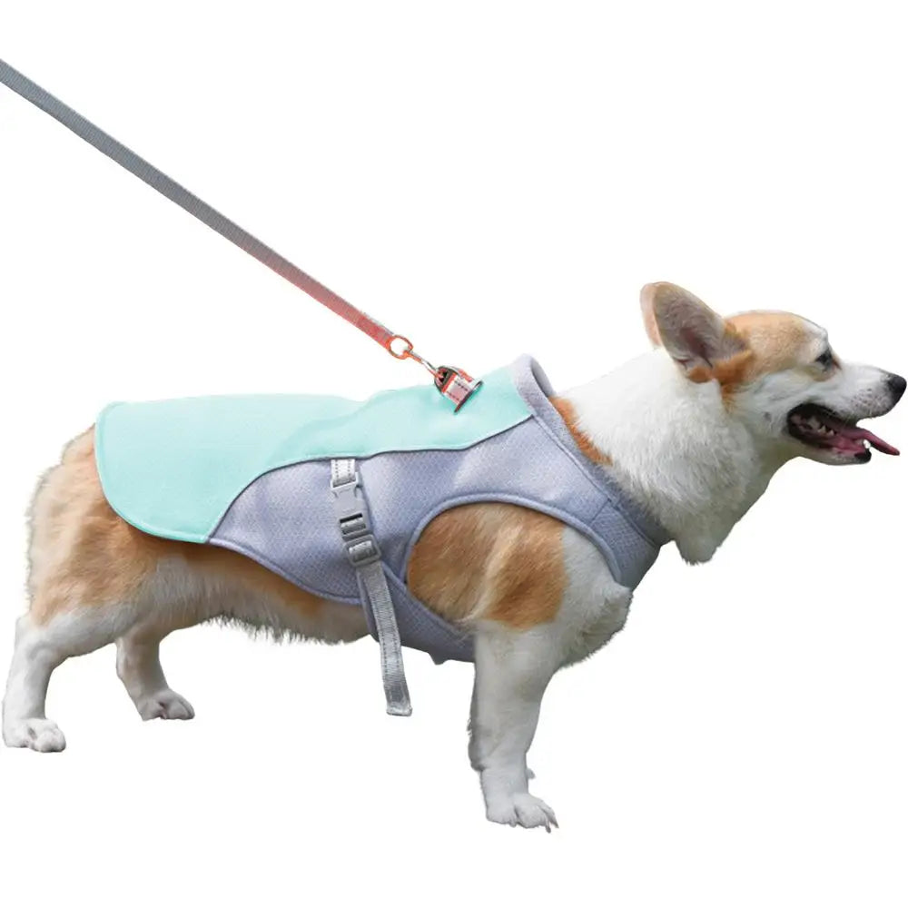 I YAN dog cooling vest with three-layer breathable fabric, designed for medium and large dogs to stay cool in summer.
