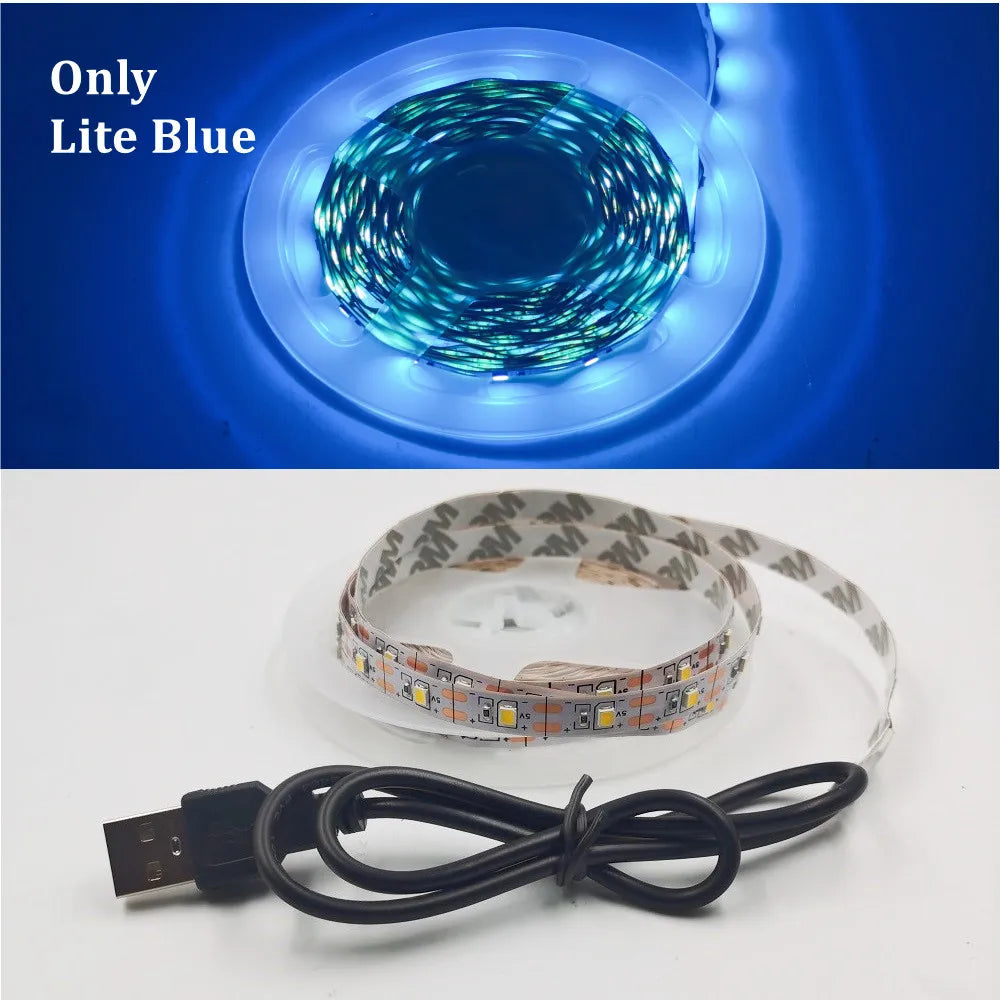 5M USB LED Strip Light 5V 3528 1 Meter 5 Meter Warm Cool White Pink Green Blue Red SMD Ribbon Ceiling Cabinet Light waterproof